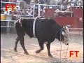 LOS TOROS DE LOS MALBORO Y RANCHO EL GUAMUCHIL