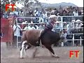 LOS TOROS DE LOS MALBORO Y RANCHO EL GUAMUCHIL