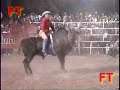 LOS TOROS DE LOS MALBORO Y RANCHO EL GUAMUCHIL