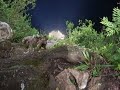 Sotano de las Golondrinas