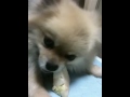 Click here to watch this video 長い待て！