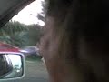 Llanto por un perro