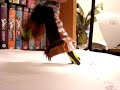 Melbourne Shuffle Compilation!