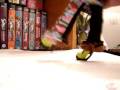 videos de Melbourne Shuffle Compilation!