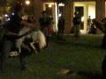 videos de DynBorok @ PRABU (1)