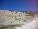zicht op top Mont Ventoux