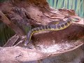 Australia in pictures, Part 7