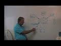EMotionshybrids.com Hybrids Explained Part#2 Dave Tether