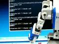新着&人気動画 (11/11 20時)