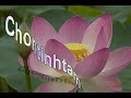 Cơn giận thành hồ sen