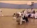 Karate Koshiki