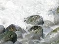 سورة الطارق برواية حفص عن عاصم = قرآن كريم = قران = جزء عم = سور قصيرة = قصار السور = ملاحظة : ترتيب الصور عشوائي و ليس له علاقة بالتفسير :: أحببت التنويه