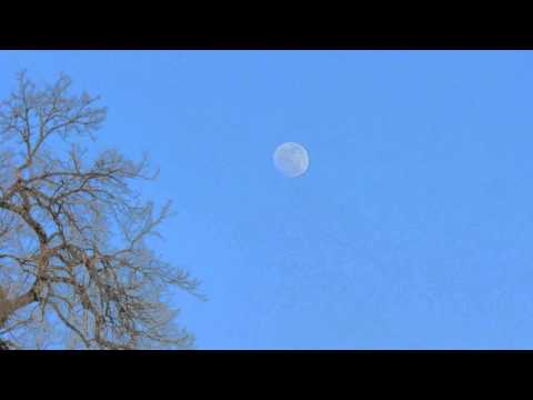 how to get to gull island harvest moon