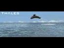 Thales - We just love the water! 