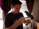 Kiwi the daredevil