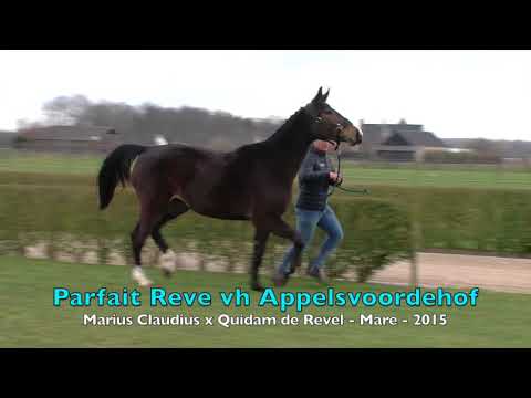 Parfait Reve vh Appelsvoordehof