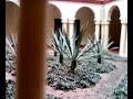 Hotel Los Montero - Cd. Victoria, Tam. - mexico - paparazzi tampico travels Hotel Los Montero - Cd. Victoria, Tam. - mexico - paparazzi tampico travels