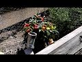 Nikon D90 vs Kogan HD