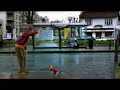 dog volley