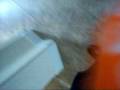 videos de David SCARES Jon