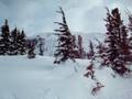 Whistler