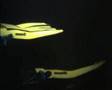 CAVE DIVING IN SPAIN.POZO AZUL SPRING.ESPELEOBUCEO