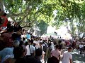 l�cher de 100 taureaux