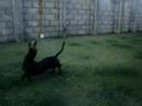 Luka e a �gua