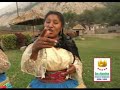 las chicas rosas y claveles - santiaguero mentiroso