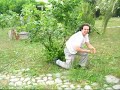 Lombamattoscocciato Lombamattoscocciato