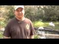 AAZK - New Orleans Whooping Crane Chat