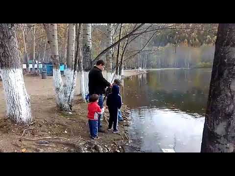 YouTube Трейлер