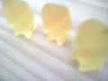 Gummib�rchenmatch