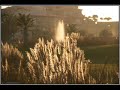 Calibre - second sun