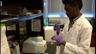 UTA Students Host "Hackathon" for Cancer Research