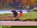 bear hunter expert fisherman and stupid man