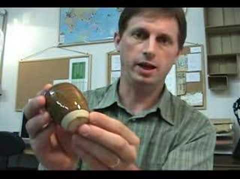 Japanese Tea Ceremony Tea