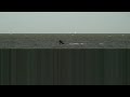 123kite now 2