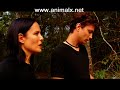 Part 7 Texas Bigfoot - Animal X Natural Mystery Unit