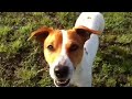 Click here to watch this video ベンの成長