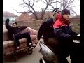 taxiu decapotabil taxiu decapotabil