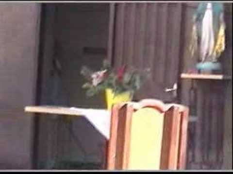 Apariciones de la Virgen Milagrosa a ...