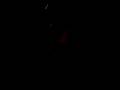 videos de Dylan Leo Vince
