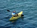 A Look at Mission Bay San Diego