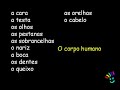O corpo humano
