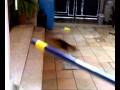 videos de Lea la cagna
