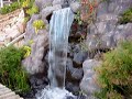 fontes cascatas cachoeras laguinhos peixes filtros biologicos uvc filtro uv bicos chafarizes 