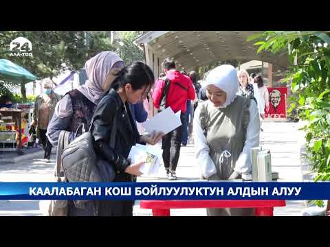 Каалабаган кош бойлуулуктун алдын алуу / Атайын репортаж