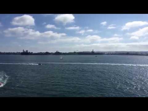 動画