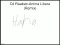 DJ Raaban-Anima Libera(Remix)